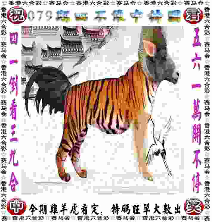 >77777788888王中王中特亮点